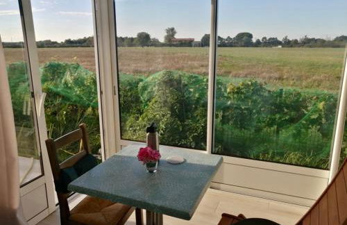 Gîte Bouconne Pibrac - Foto 6