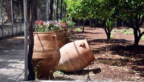 Terre Cretoise - Foto 5, Garden