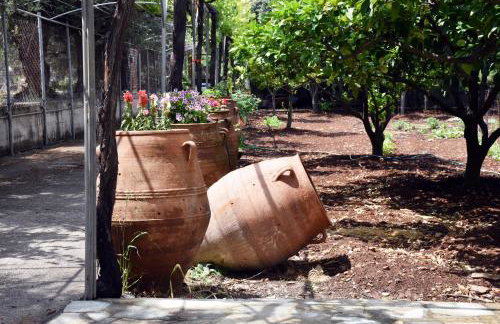 Terre Cretoise - Foto 5