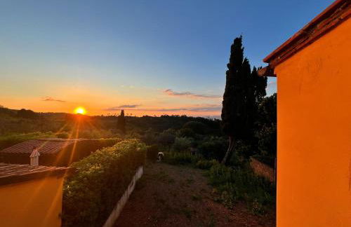 Noah Homes - Foto 37