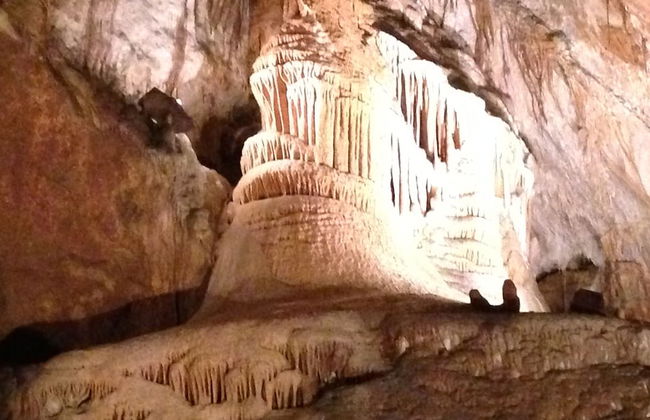 Penguin Retreat - Photo 24