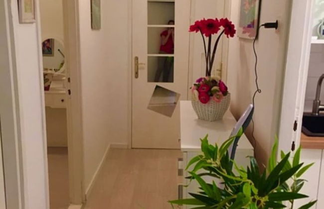 Helena - Beachfront - H - Photo 23