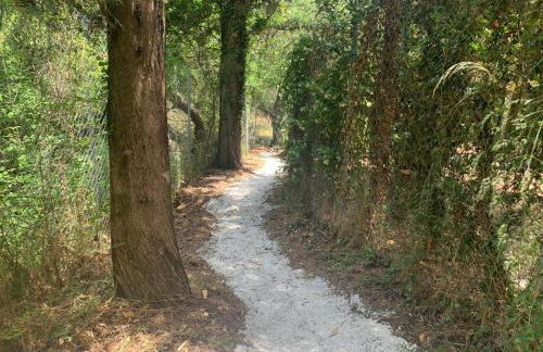 Villa Serena - Photo 31