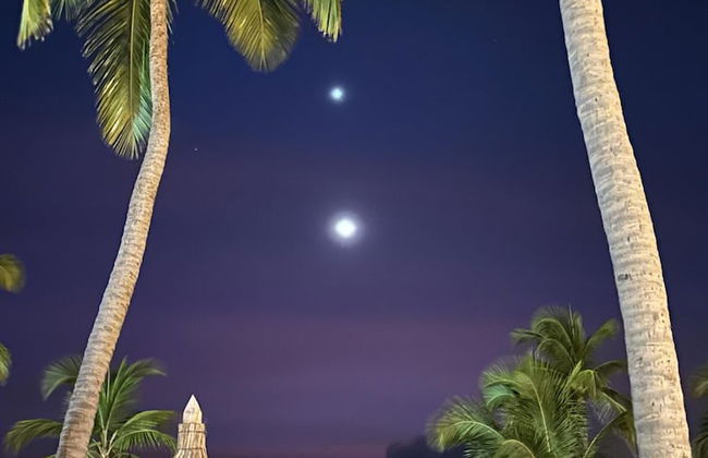 Oceanside Luxury The Cove Palm Beach 2BR 2 5BA - Foto 20