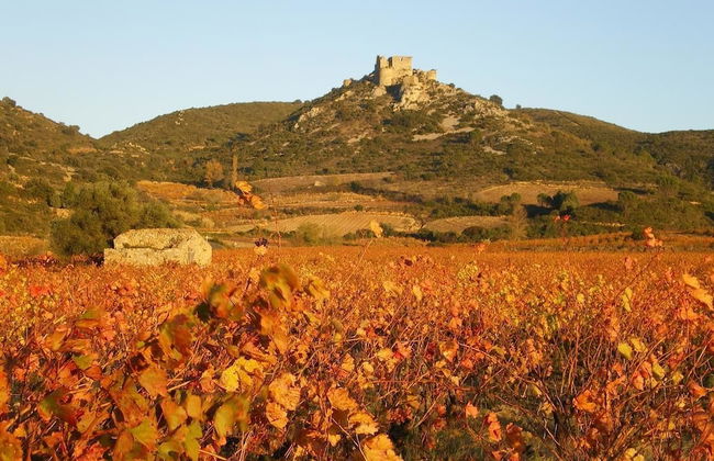 Yourte Nature Saint Roch - Foto 28