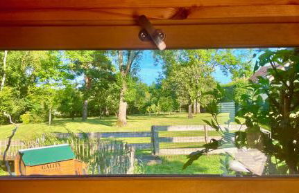 O et Terre, gite ressourcement bains spa cryo sauna et foret - Foto 25