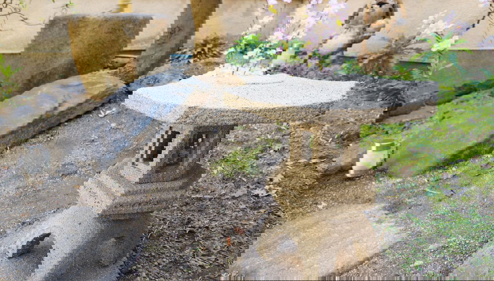 Oyado Toji - Foto 1, Immagine principale