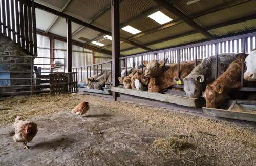 Clegir Bach - Photo 24