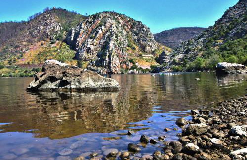 Monte do Pego - Foto 15