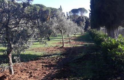 Villa Tommasini La torre - Foto 32