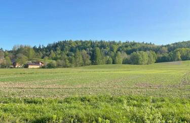 Dom z ogrodem w malowniczej okolicy Bieszczady - Foto 26