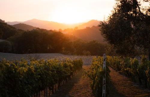 Podere Limeria Country Home nelle Marche - Foto 28