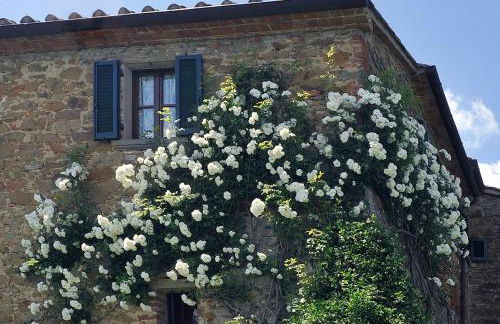 San Lorenzo - Foto 24