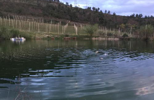 Quinta BEMBOA Turismo Espaço Rural - Foto 62