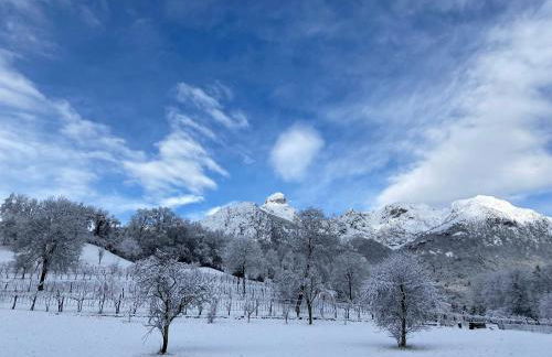 Casetta dipinta Fattoria dei fiori - Photo 12