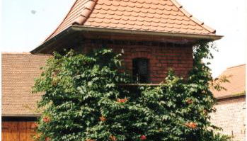 Pension Claudia Güldenpfennig - Foto 4