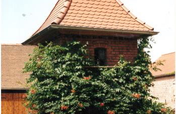 Pension Claudia Güldenpfennig - Photo 4