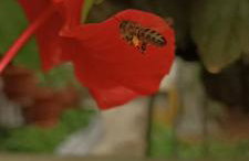 Seaside Apartment 2 - Photo 14