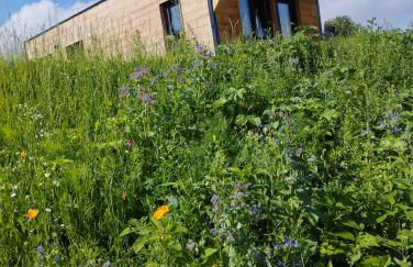 Ferienresort Edersee GmbH - Foto 29