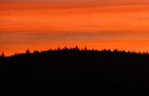 Ferienwohnung Armitter - Foto 11