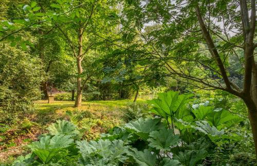 Rural bolthole in Constable country estate - The Woodshed - Foto 8