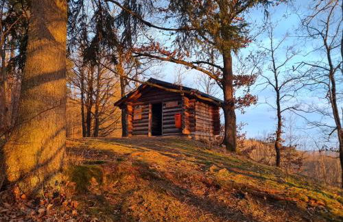 Ferienwohnung Schloss Burgk - Foto 20