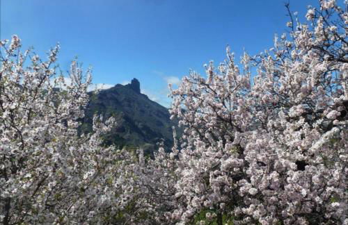 Casa rural Juan y Juana Canino - Foto 36