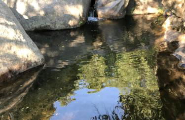 Douro vineyards and Mountains - Foto 13