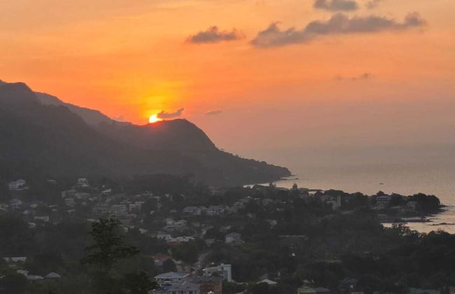 Wild Vanilla Apartment - Photo 56