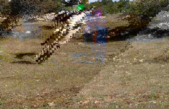 Farma Sotira - Foto 53