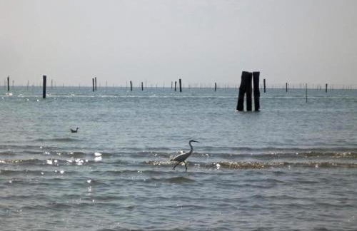 Characteristic Apartment in Codigoro With Pool - Foto 122