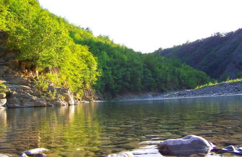 Agriturismo Ca' del Sartu - Foto 7