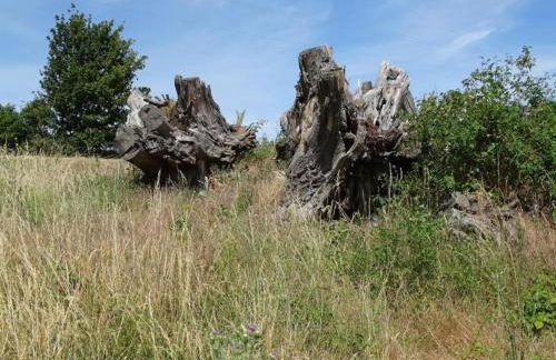 Einladendes, freistehendes Ferienhaus in Wienrode - Foto 38