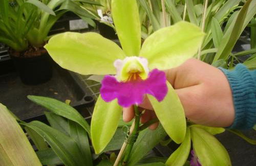 Ferienhof Meyer - Foto 80