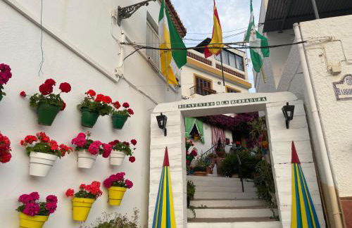 El SOL del SUR - Photo 51