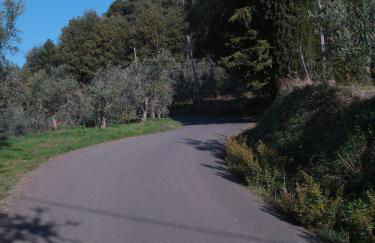 I Rondoni Villa - Foto 36