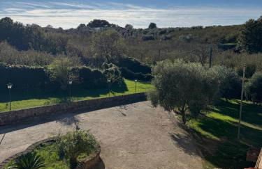 Giardino degli ulivi - Foto 48