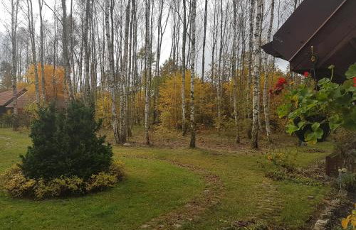 Villa Stare Osieczno - Foto 55