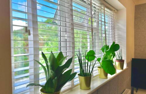 Family Studio Garden view 5min to Elizabeth Line - Foto 20