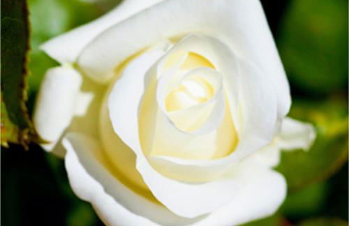 Andalusian experience - Foto 49