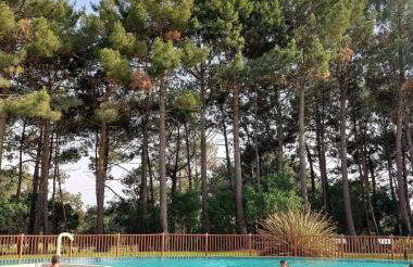 T2 Lacanau - piscine chauffée au calme sur le golf à 2kms Océan - Foto 14