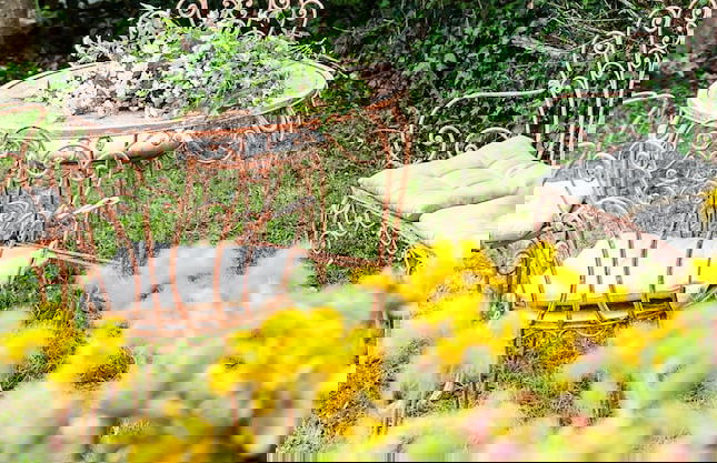 Tenuta degli Obizzi - Foto 70