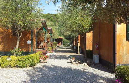 Agriturismo Valle di Marco - Foto 41