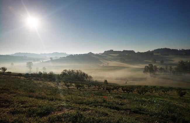 Agriturismo Tenuta Del Barone - Foto 19