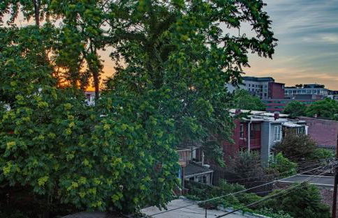 H St Sanctuary Capitol Hill Carriage House - Photo 26