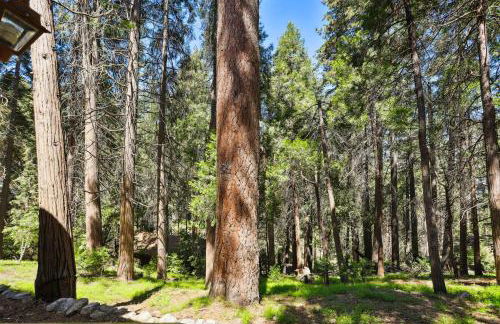 Twin Peaks Vacation Rental with Hot Tub! - Foto 33