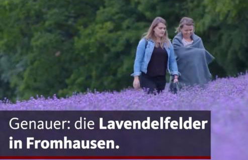 Detmolder Loft 3 - Foto 13