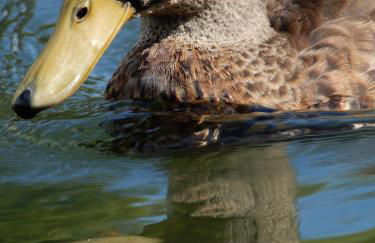 Superbe logement "Loulaloue" ! - Foto 25