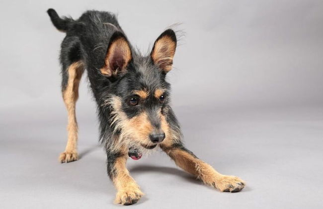 Valley Station Modern Retreat - Foto 8