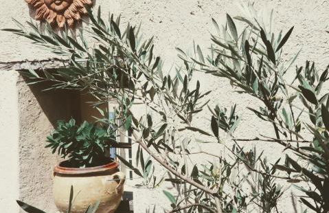 La Terrasse d'Oléa, au coeur du village - Foto 29